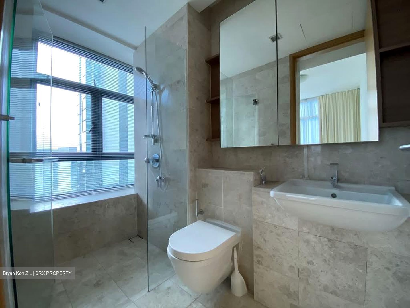 Thomson Euro-asia (D11), Condominium #596337931